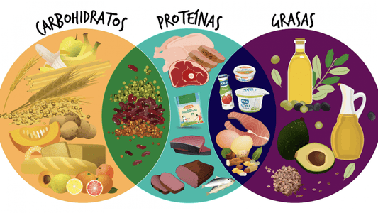 MAFF Running. 2024-2025 Nutrición y Alimentación en Carrera: ¿Hidratos de Carbono o Grasas como Fuente de Energía?